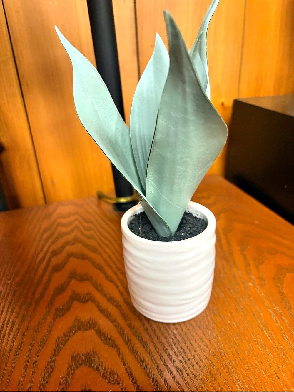 Faux Plant in White Planter
